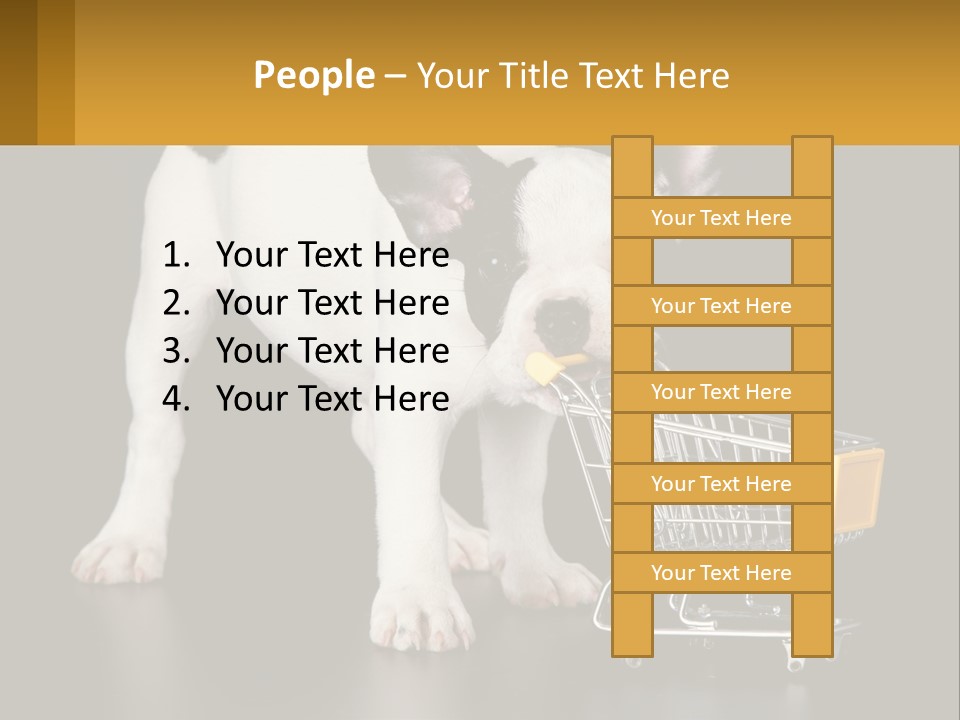 Cold Supply Switch PowerPoint Template