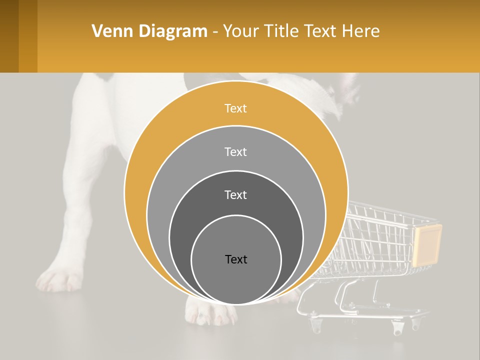 Cold Supply Switch PowerPoint Template