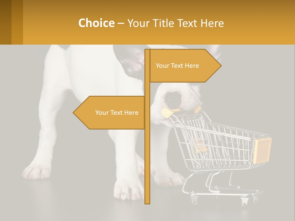 Cold Supply Switch PowerPoint Template