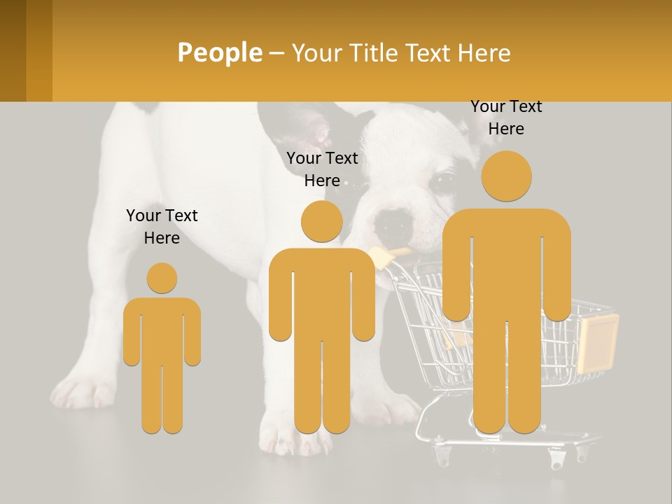 Cold Supply Switch PowerPoint Template