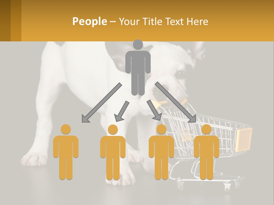 Cold Supply Switch PowerPoint Template