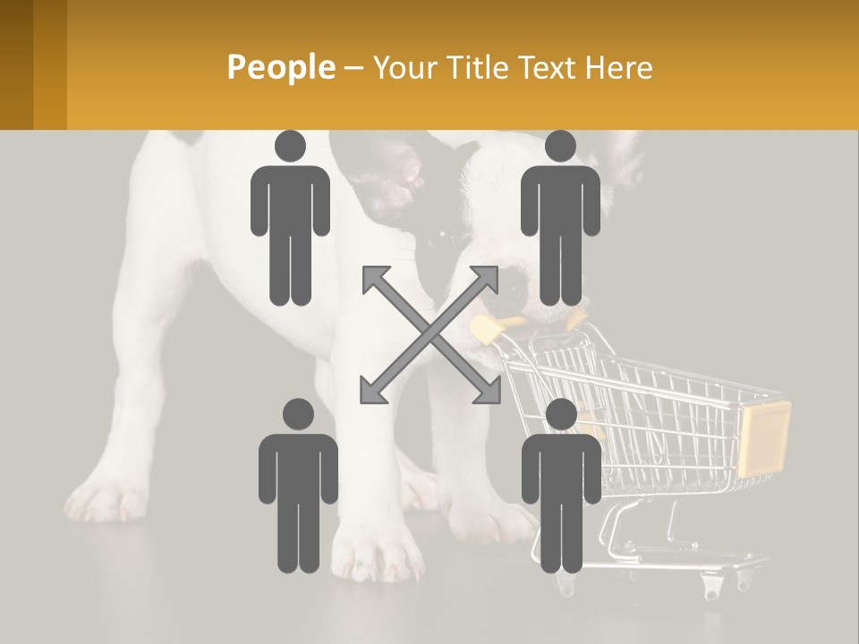 Cold Supply Switch PowerPoint Template