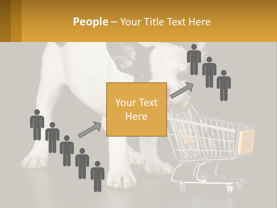 Cold Supply Switch PowerPoint Template