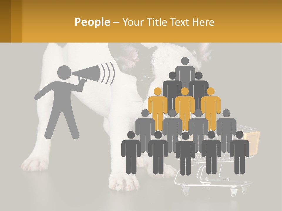 Cold Supply Switch PowerPoint Template