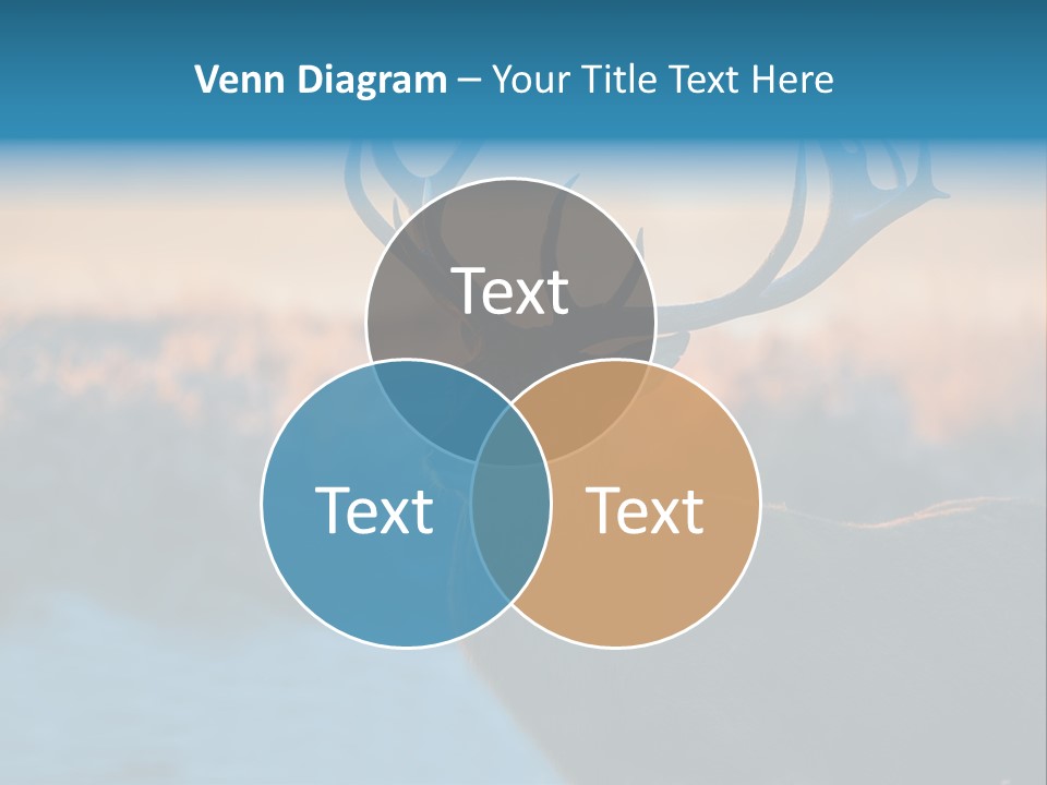 Cooling Ventilation Electric PowerPoint Template
