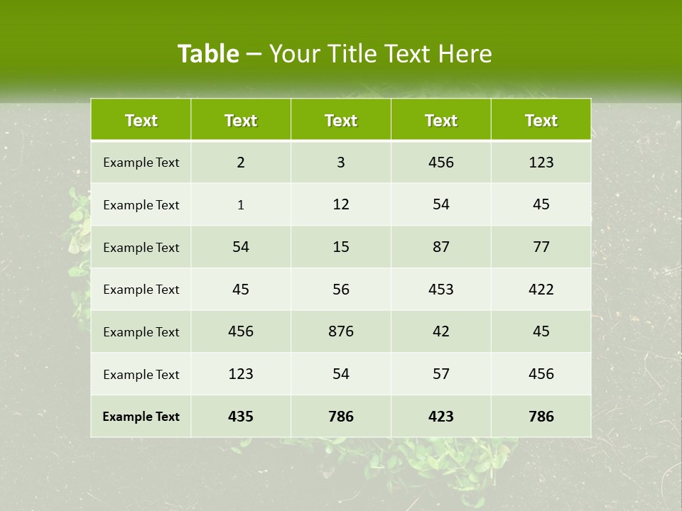 Heat Home Temperature PowerPoint Template