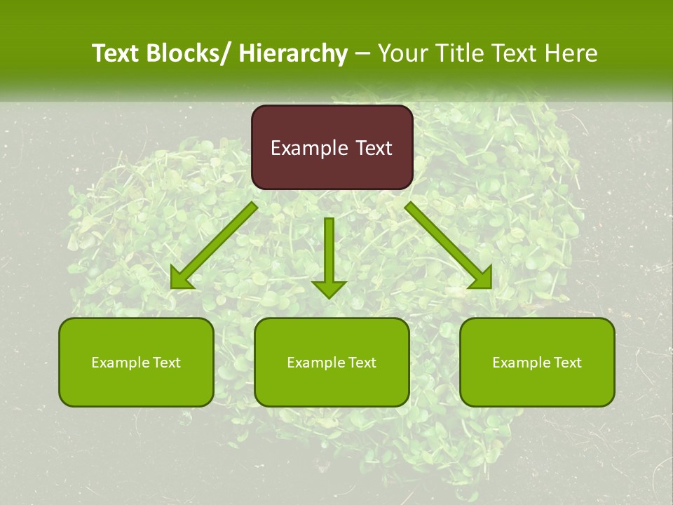 Heat Home Temperature PowerPoint Template