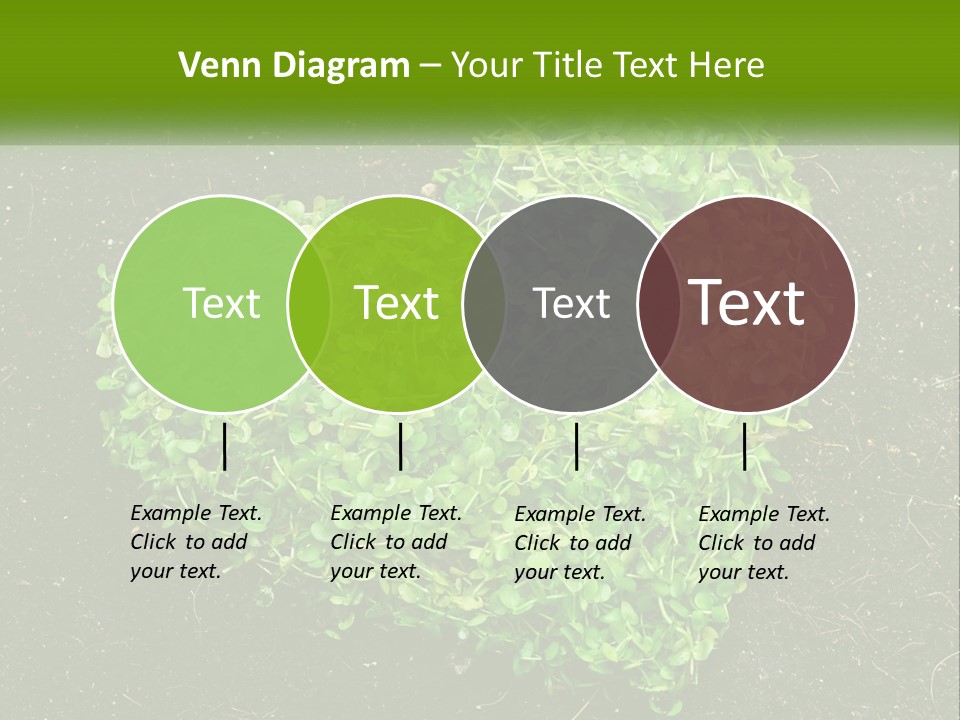 Heat Home Temperature PowerPoint Template