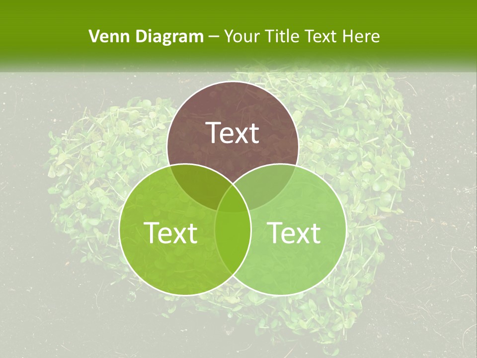 Heat Home Temperature PowerPoint Template
