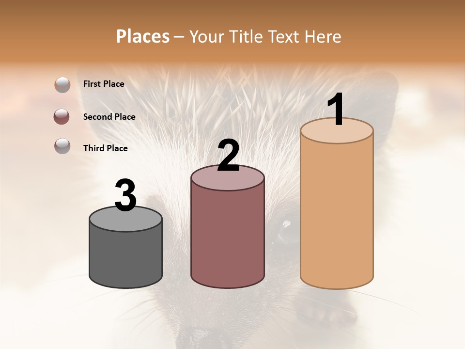Unit Home Conditioner PowerPoint Template