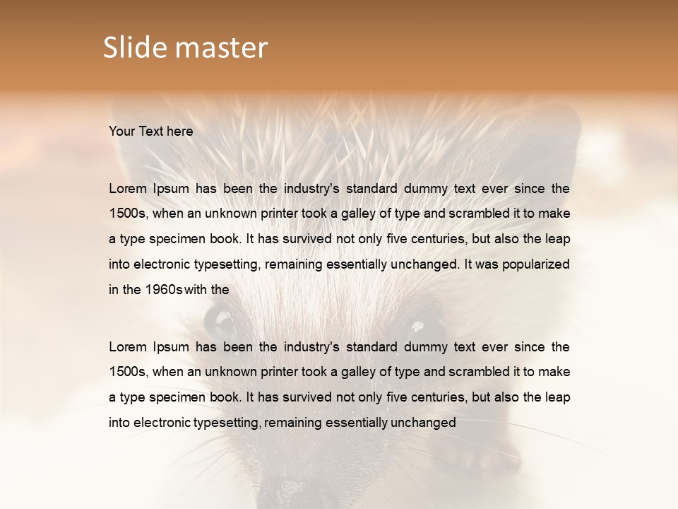 Unit Home Conditioner PowerPoint Template