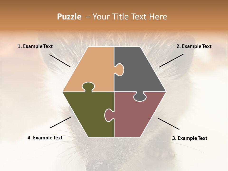 Unit Home Conditioner PowerPoint Template