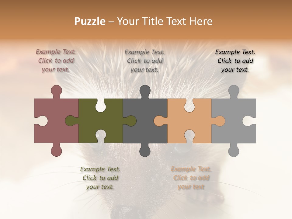 Unit Home Conditioner PowerPoint Template