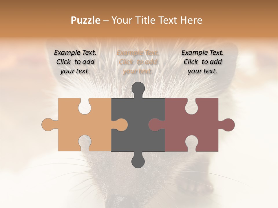 Unit Home Conditioner PowerPoint Template