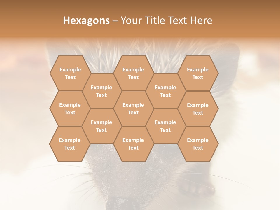 Unit Home Conditioner PowerPoint Template