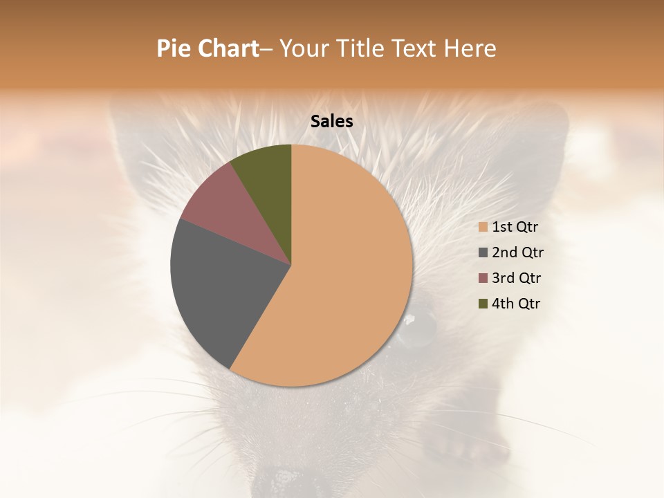 Unit Home Conditioner PowerPoint Template