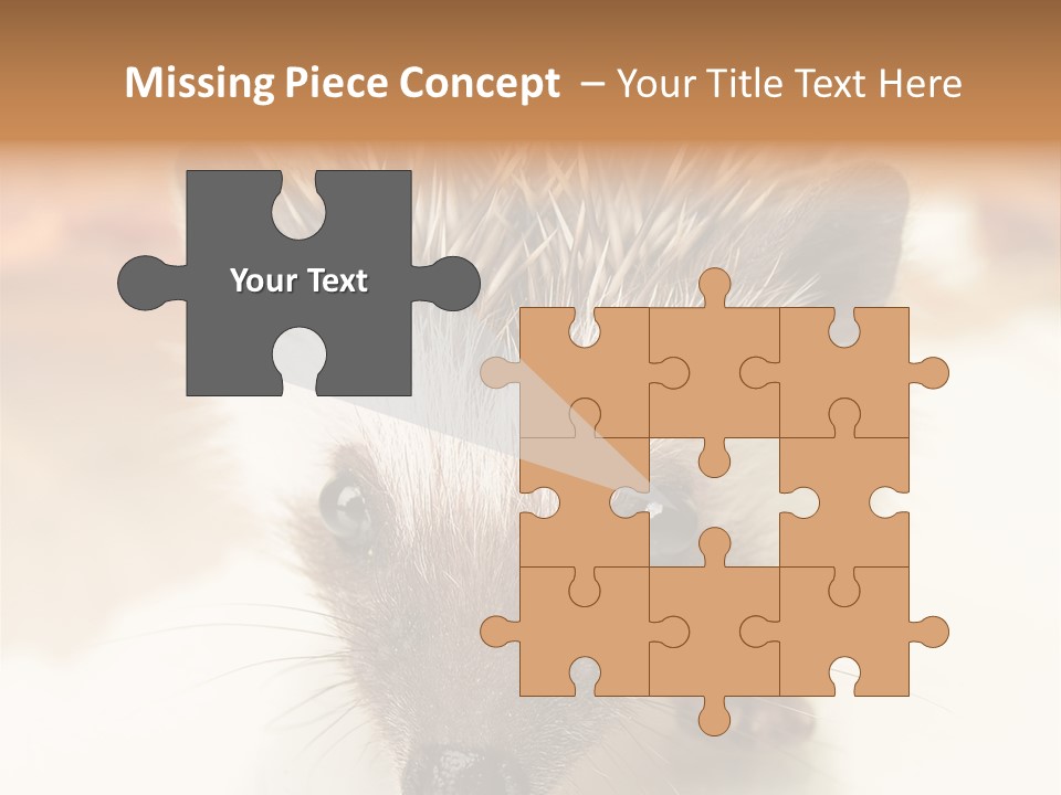 Unit Home Conditioner PowerPoint Template