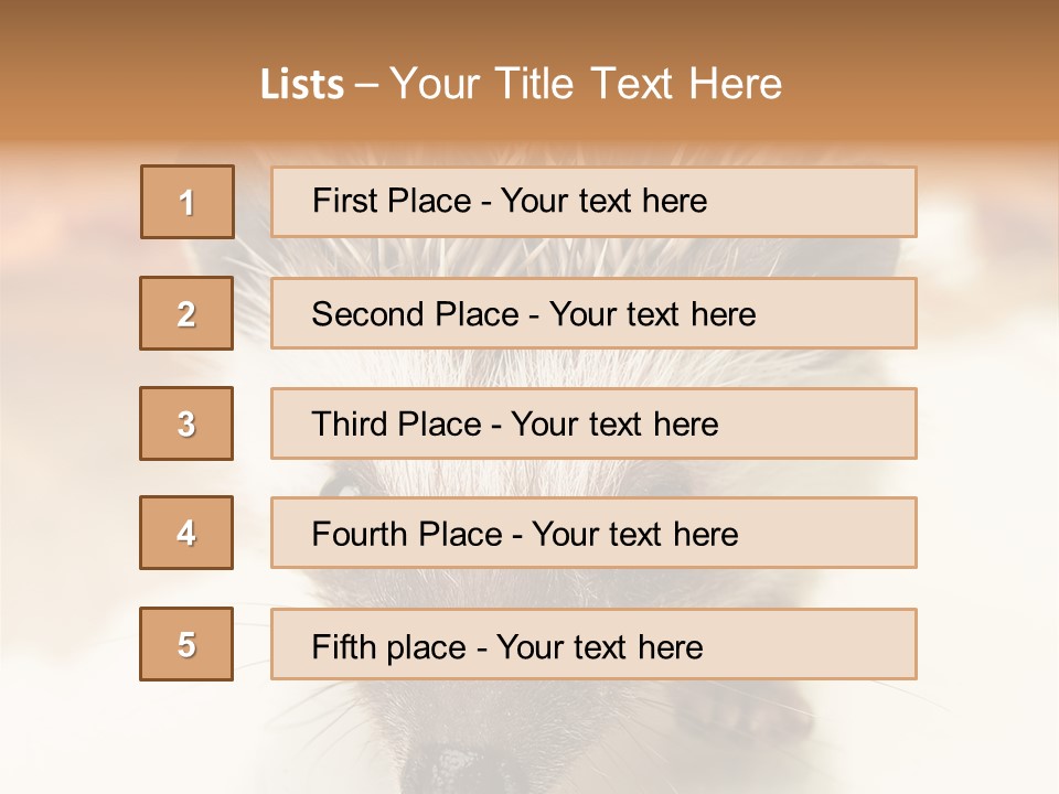 Unit Home Conditioner PowerPoint Template
