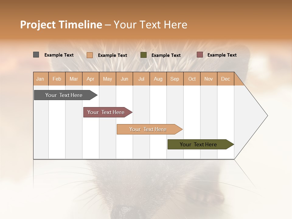 Unit Home Conditioner PowerPoint Template
