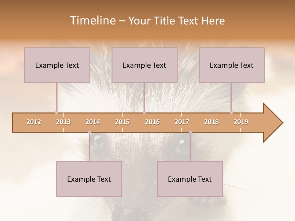 Unit Home Conditioner PowerPoint Template