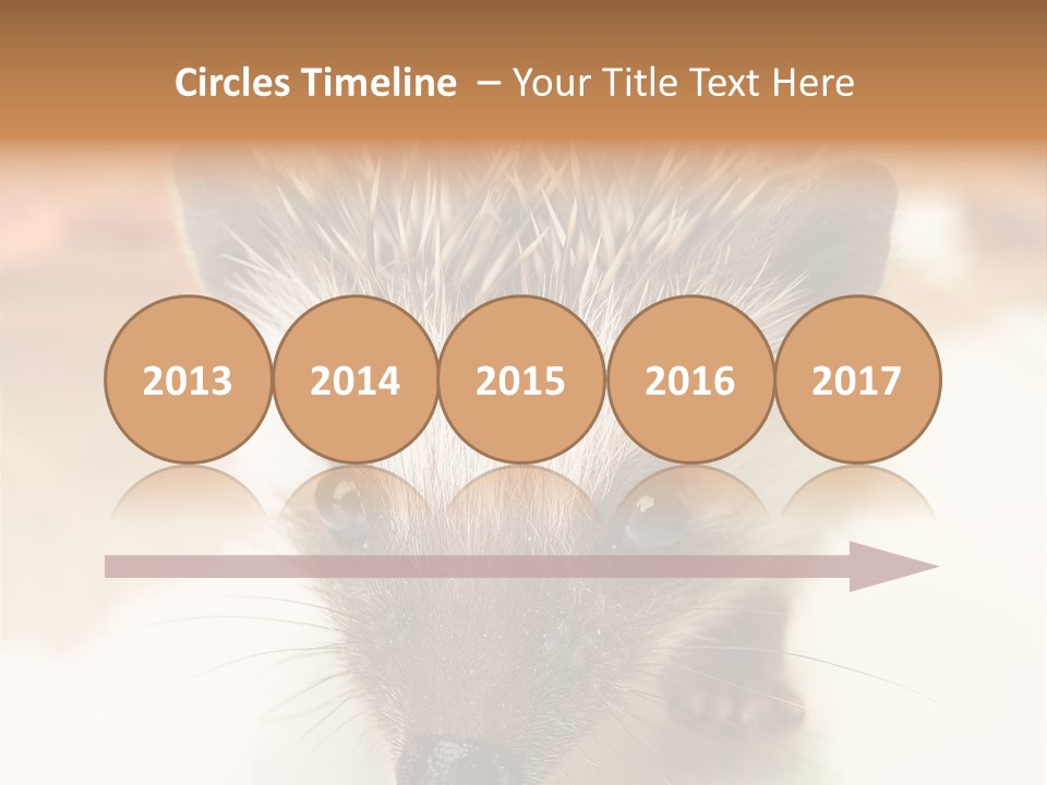 Unit Home Conditioner PowerPoint Template