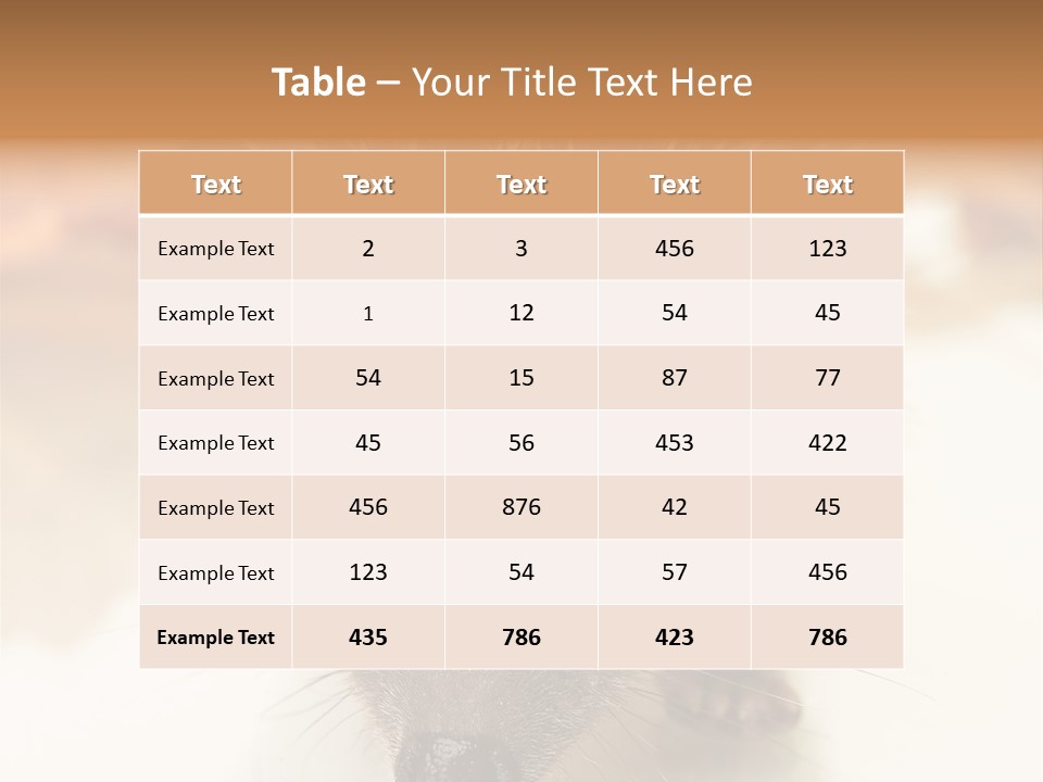 Unit Home Conditioner PowerPoint Template