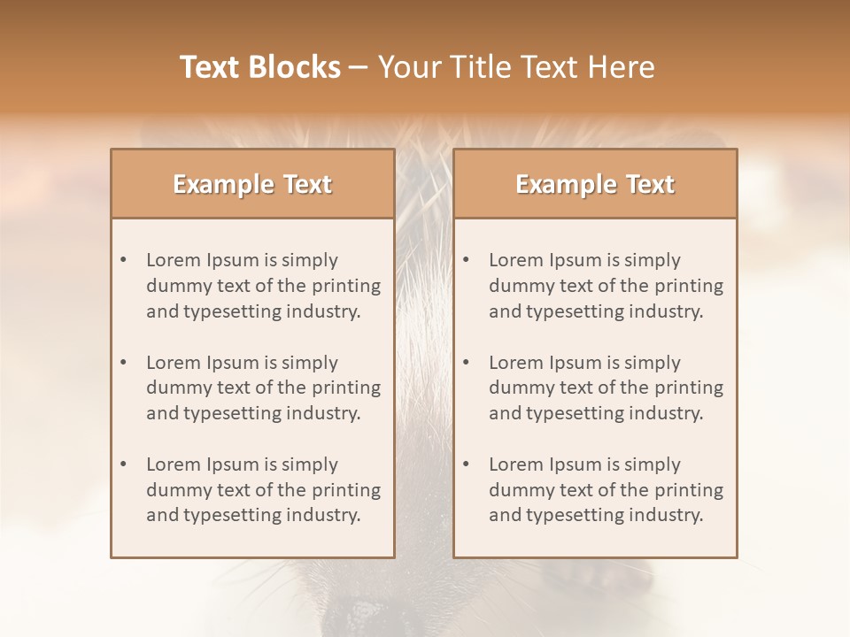Unit Home Conditioner PowerPoint Template