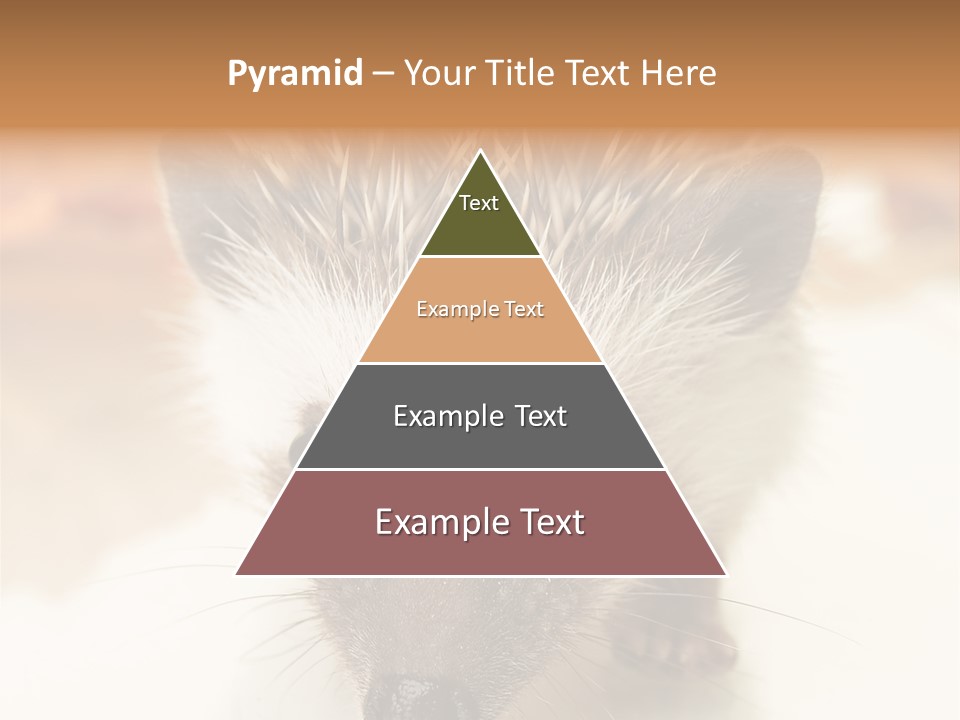 Unit Home Conditioner PowerPoint Template