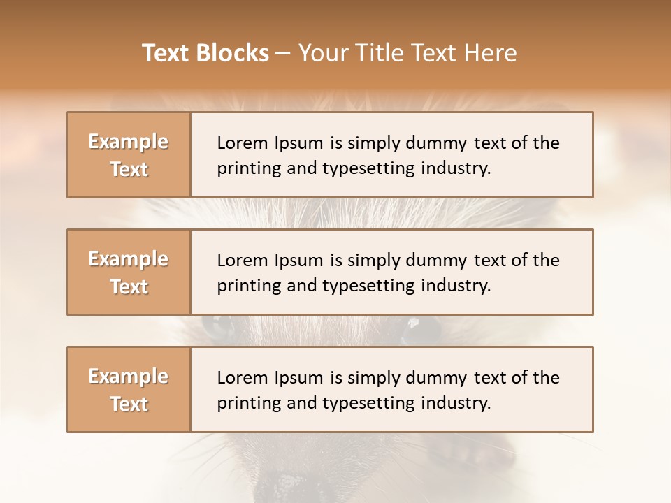 Unit Home Conditioner PowerPoint Template