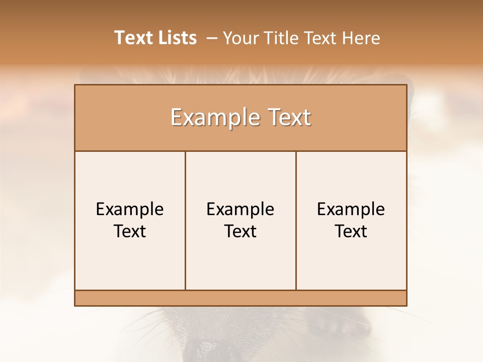 Unit Home Conditioner PowerPoint Template