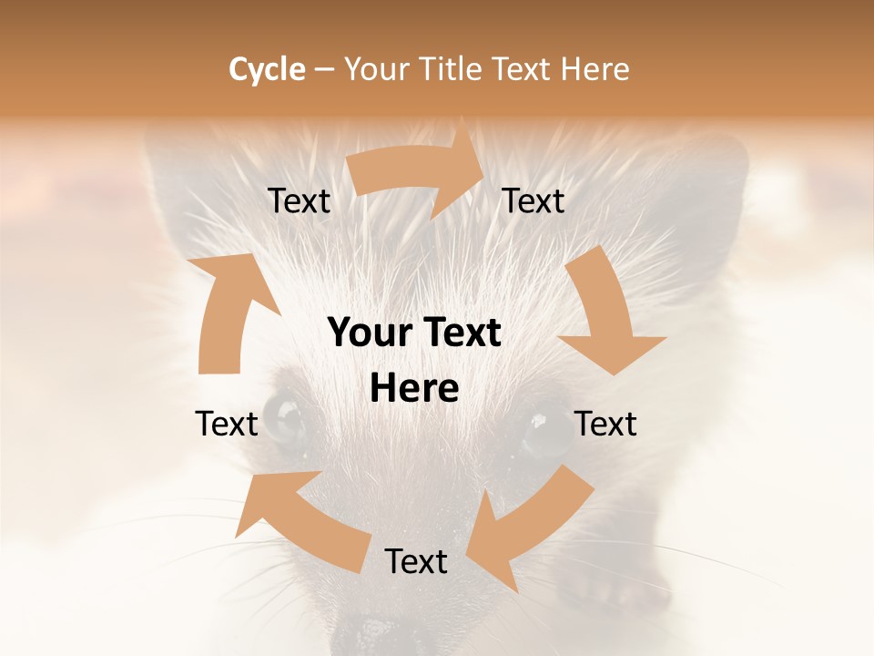 Unit Home Conditioner PowerPoint Template