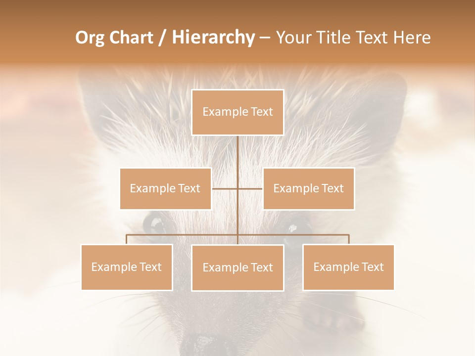 Unit Home Conditioner PowerPoint Template