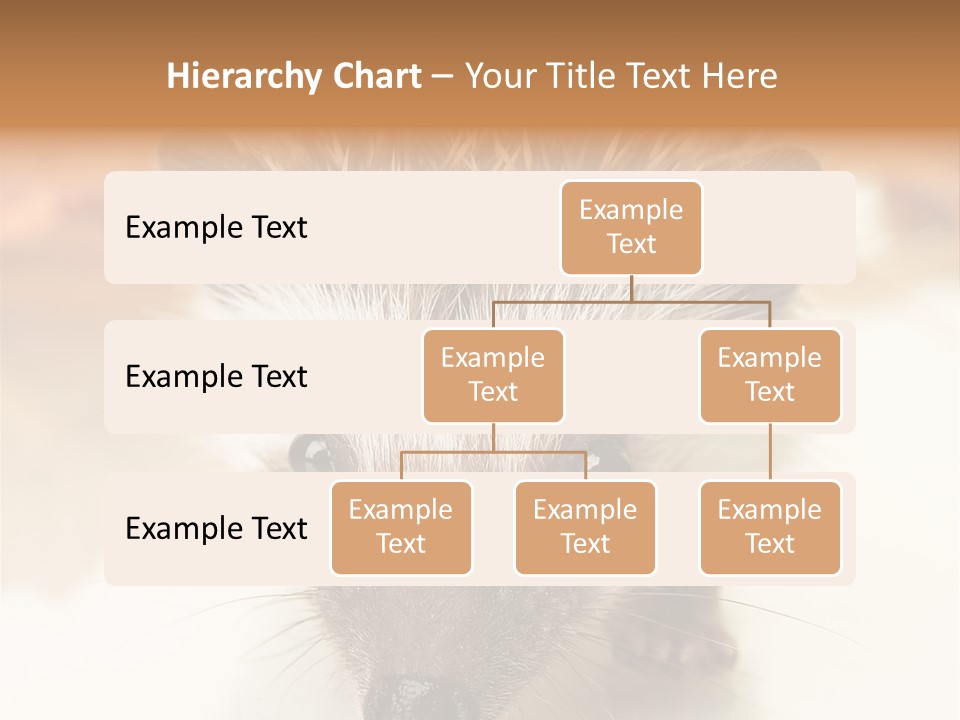 Unit Home Conditioner PowerPoint Template