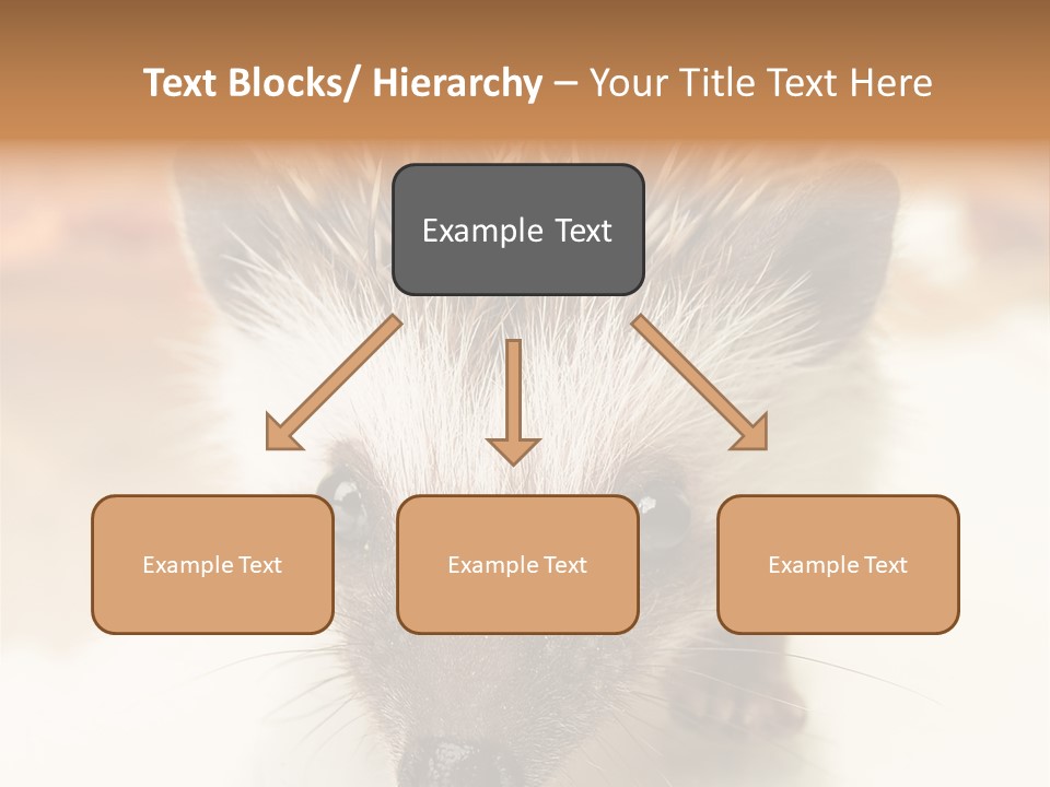 Unit Home Conditioner PowerPoint Template