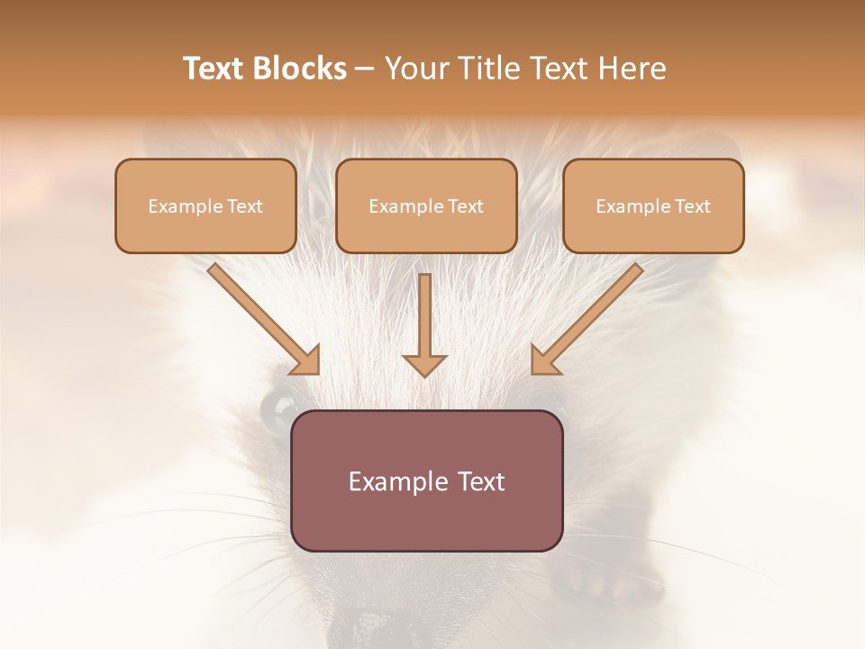 Unit Home Conditioner PowerPoint Template
