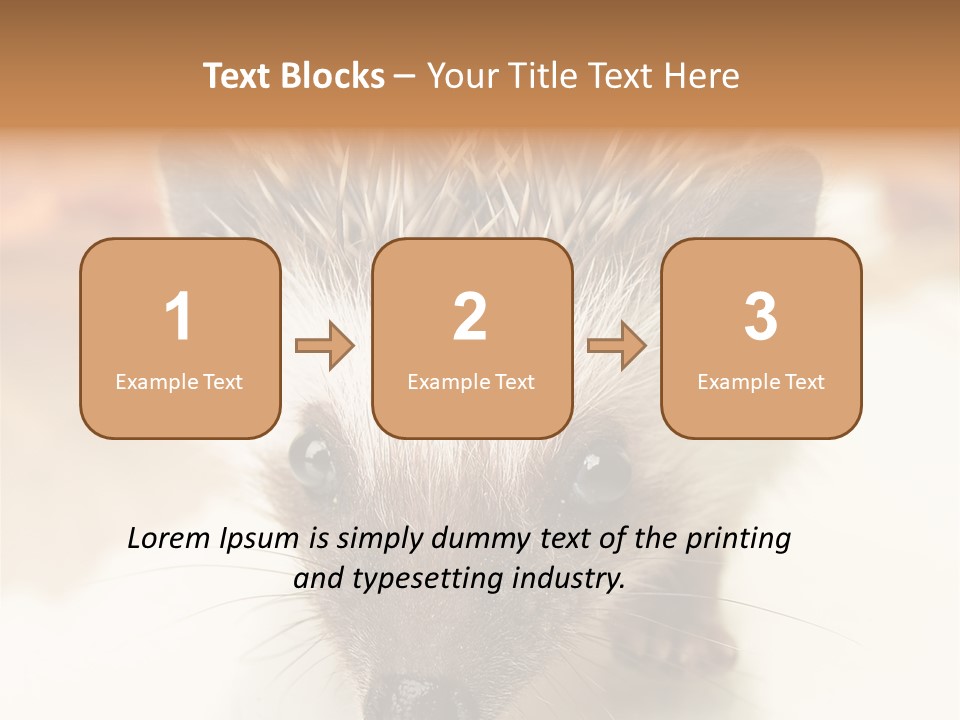 Unit Home Conditioner PowerPoint Template