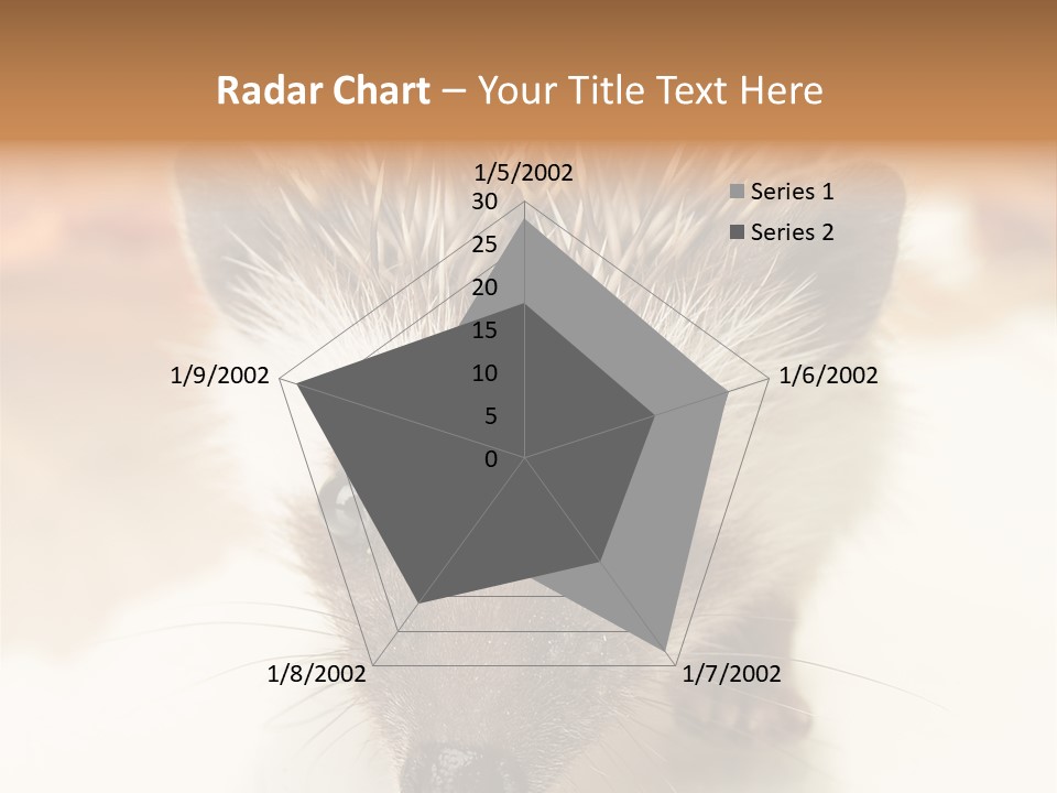 Unit Home Conditioner PowerPoint Template
