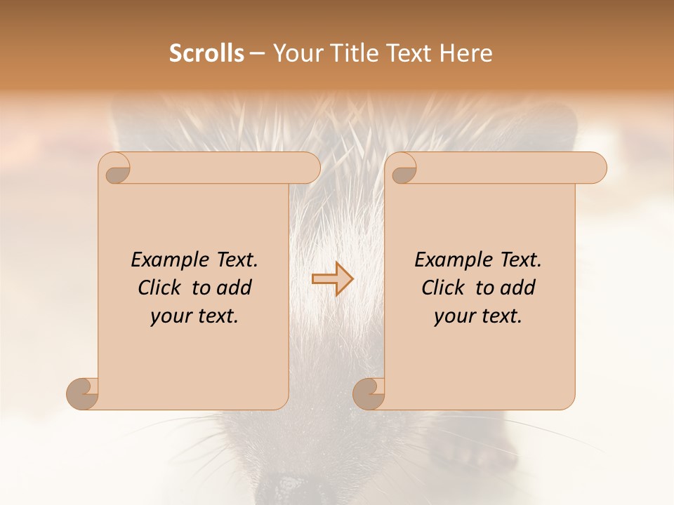 Unit Home Conditioner PowerPoint Template