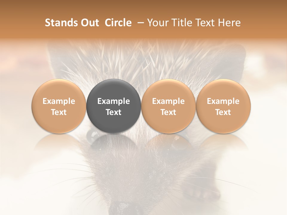 Unit Home Conditioner PowerPoint Template