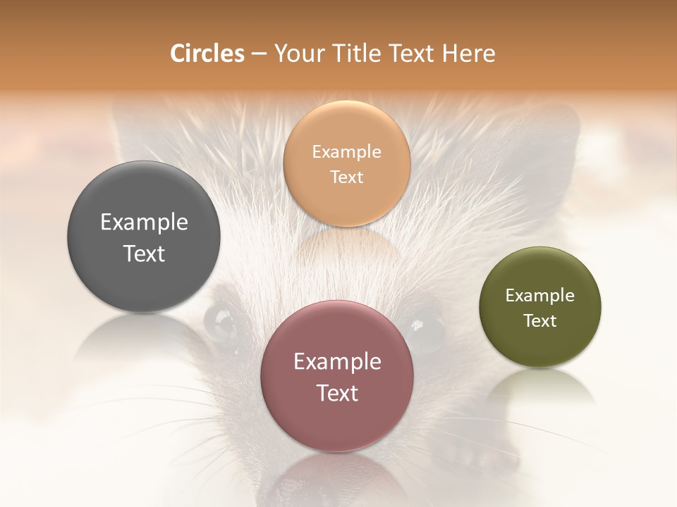 Unit Home Conditioner PowerPoint Template