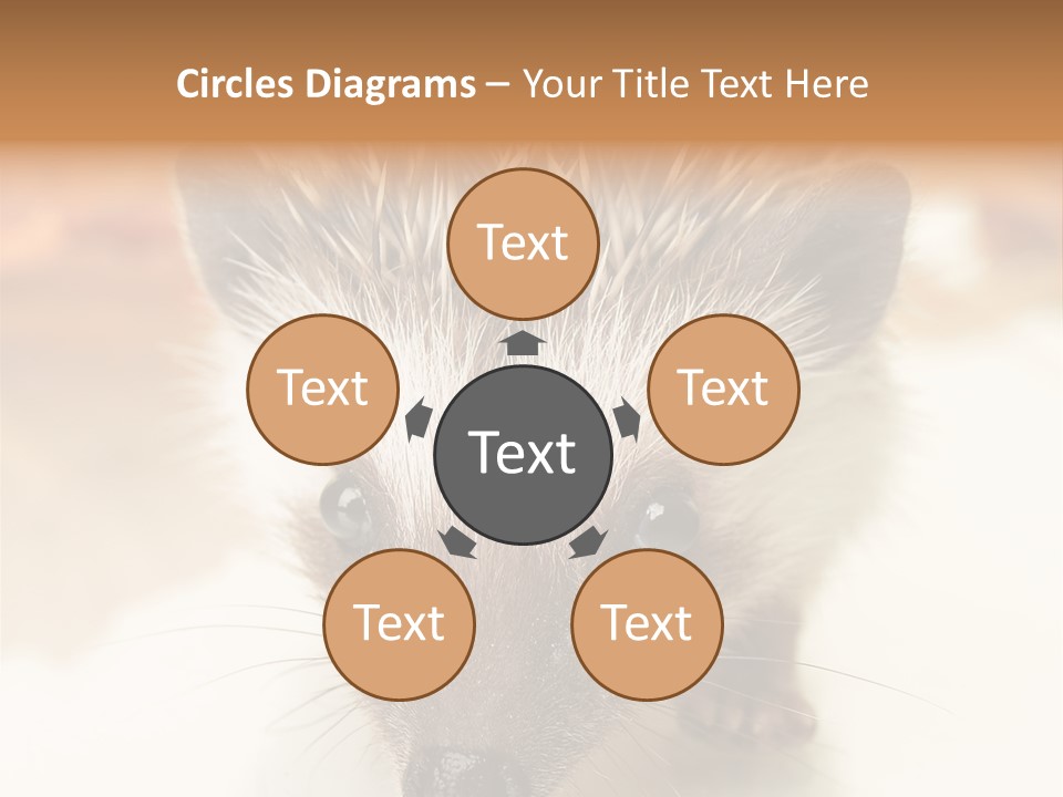 Unit Home Conditioner PowerPoint Template
