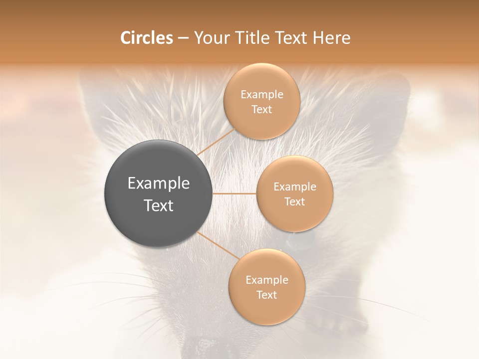 Unit Home Conditioner PowerPoint Template