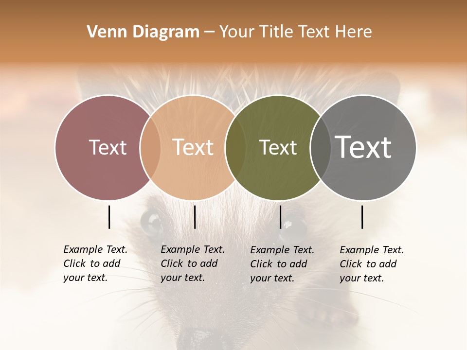 Unit Home Conditioner PowerPoint Template