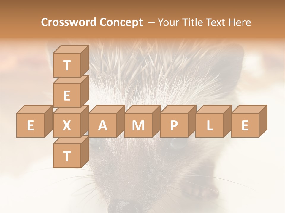 Unit Home Conditioner PowerPoint Template