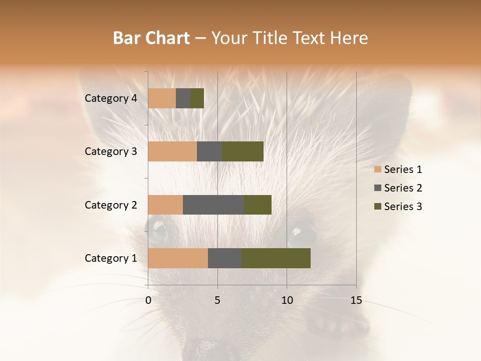 Unit Home Conditioner PowerPoint Template
