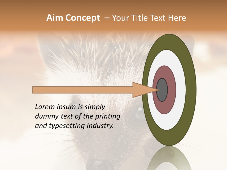 Unit Home Conditioner PowerPoint Template