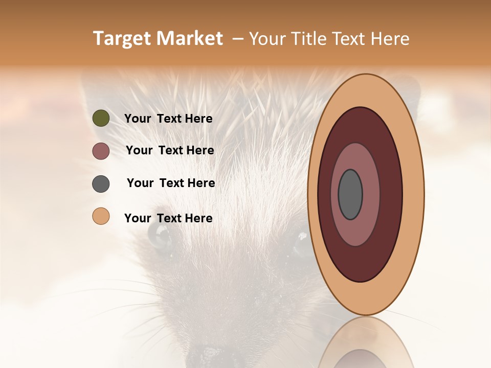 Unit Home Conditioner PowerPoint Template