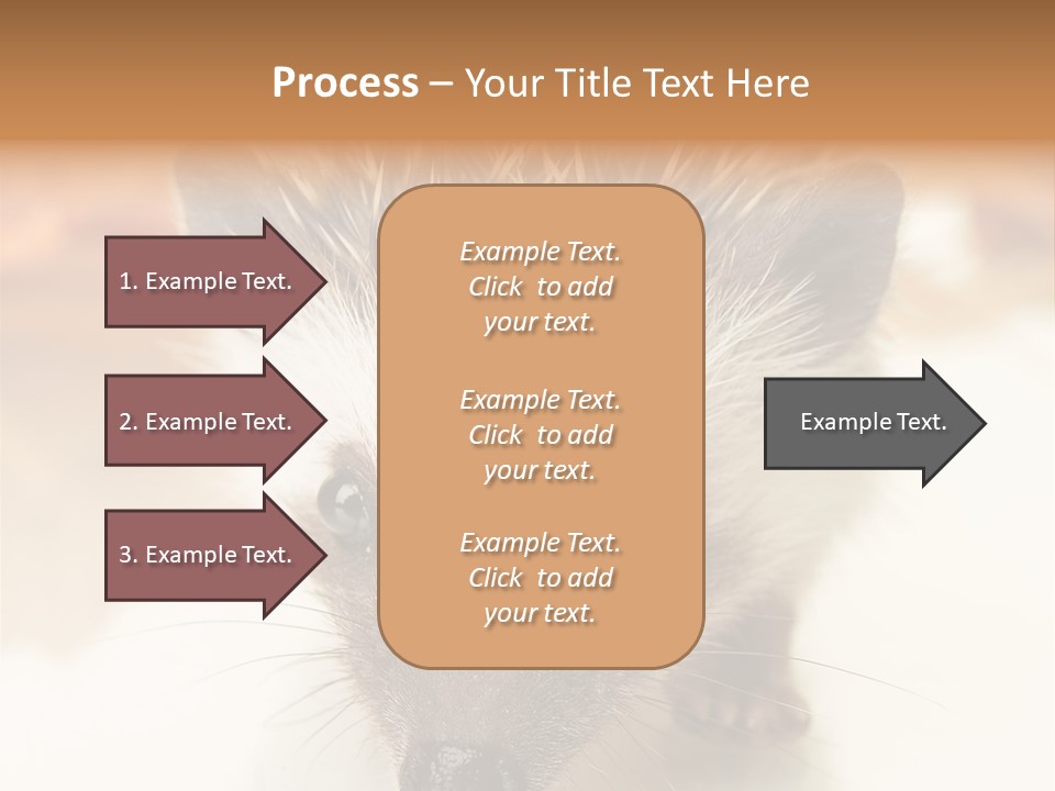 Unit Home Conditioner PowerPoint Template