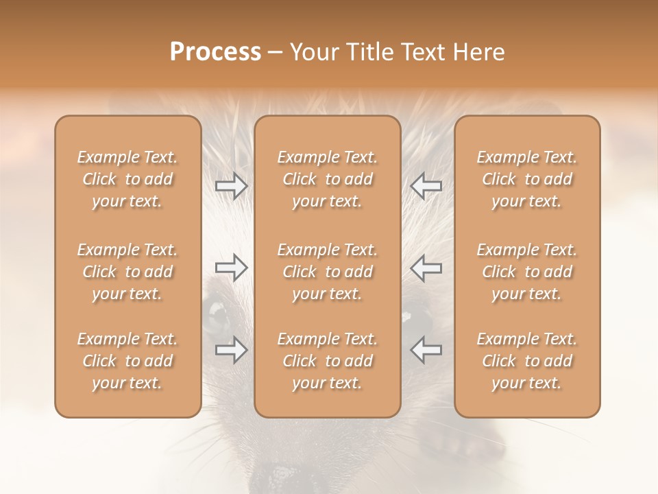 Unit Home Conditioner PowerPoint Template