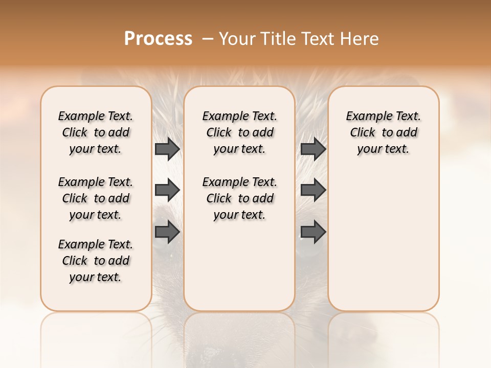 Unit Home Conditioner PowerPoint Template